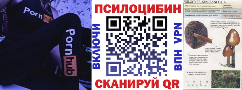 Галлюциногенные грибы Psilocybe  Чита 